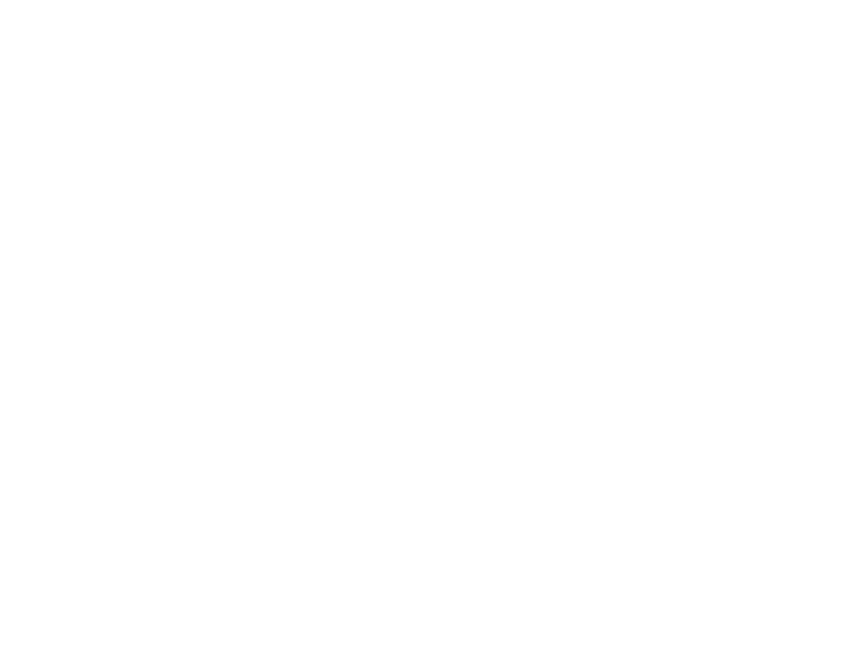 Paladini